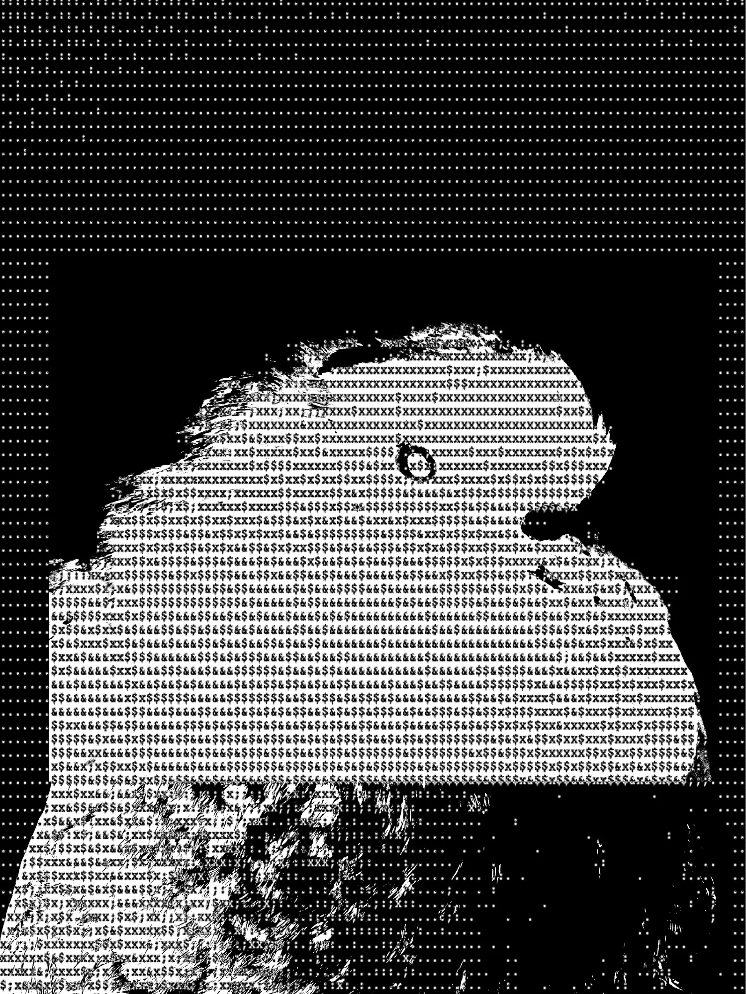 2024 image 12
