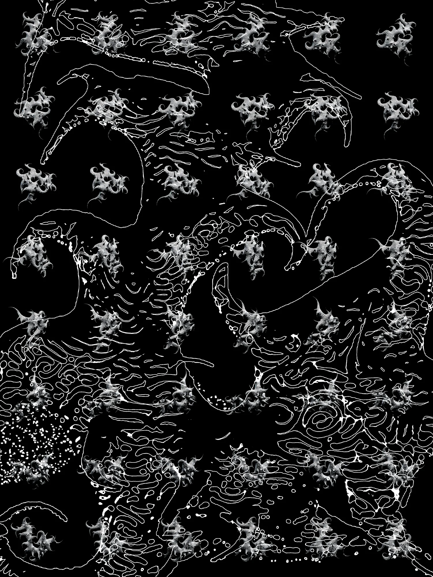 2024 image 10