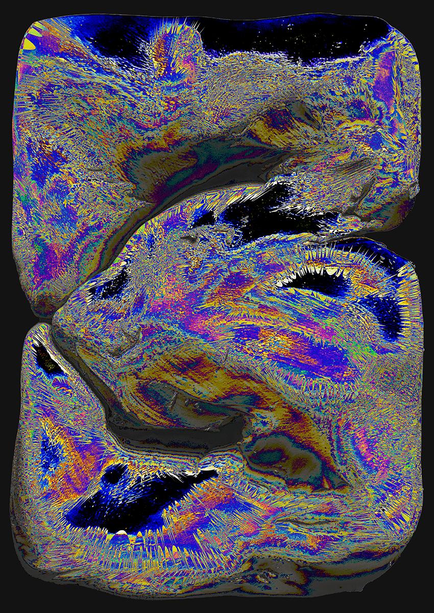 2025 image 20