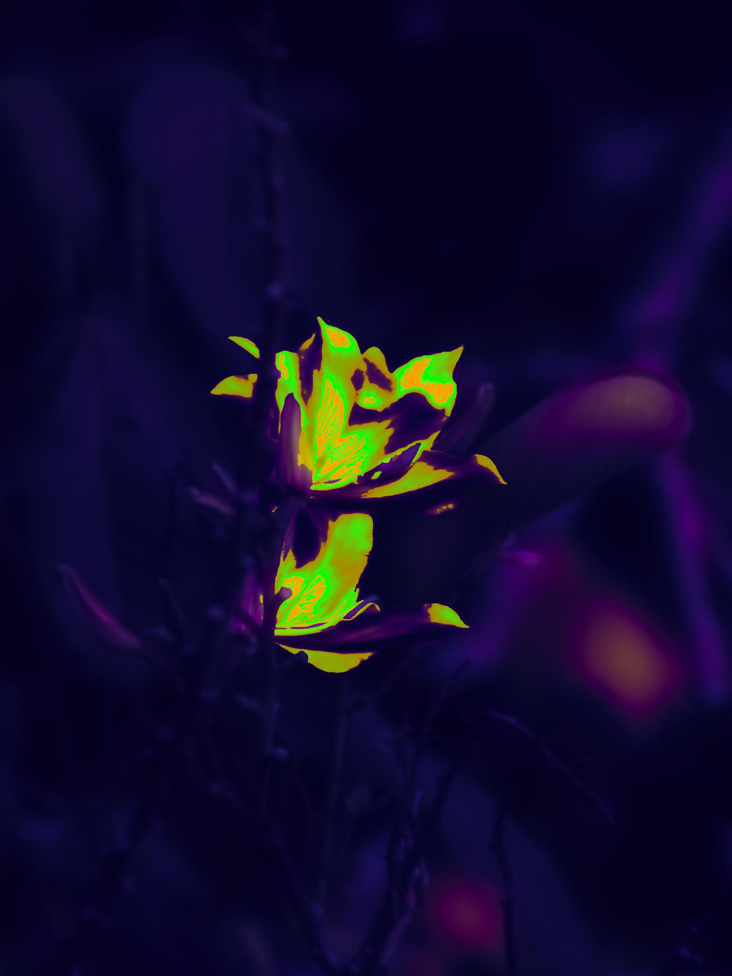 2025 image 13