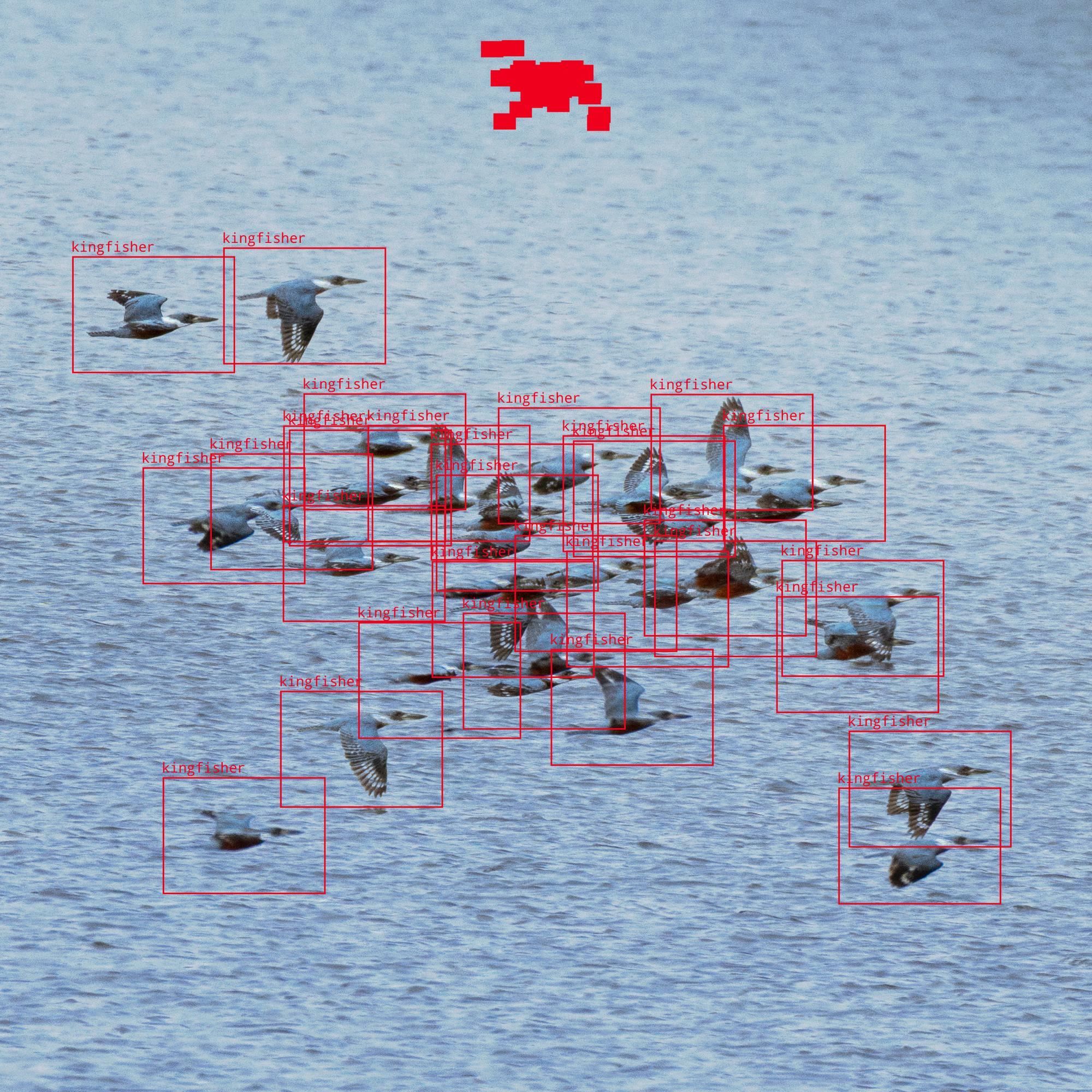 2025 image 4