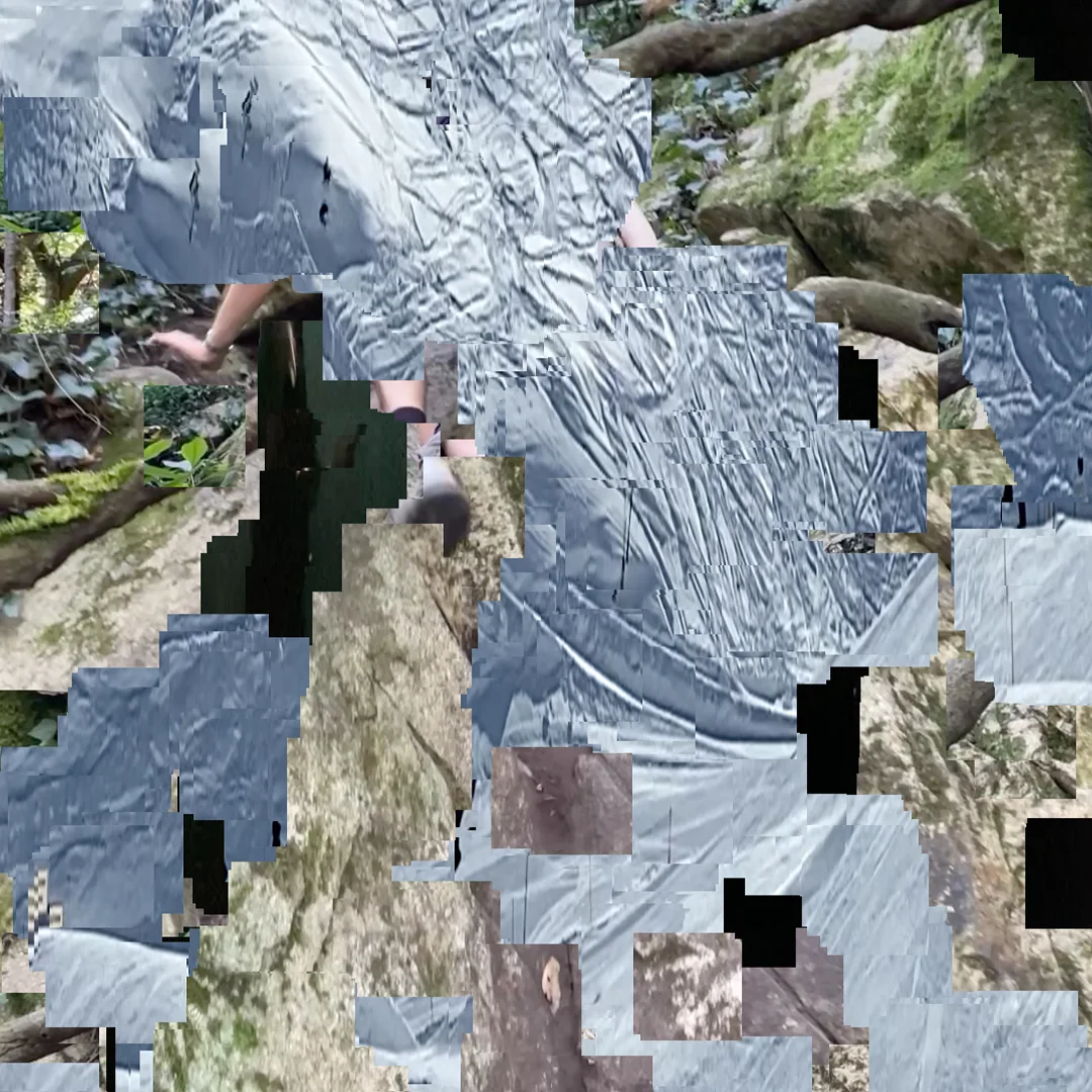 2025 image 1