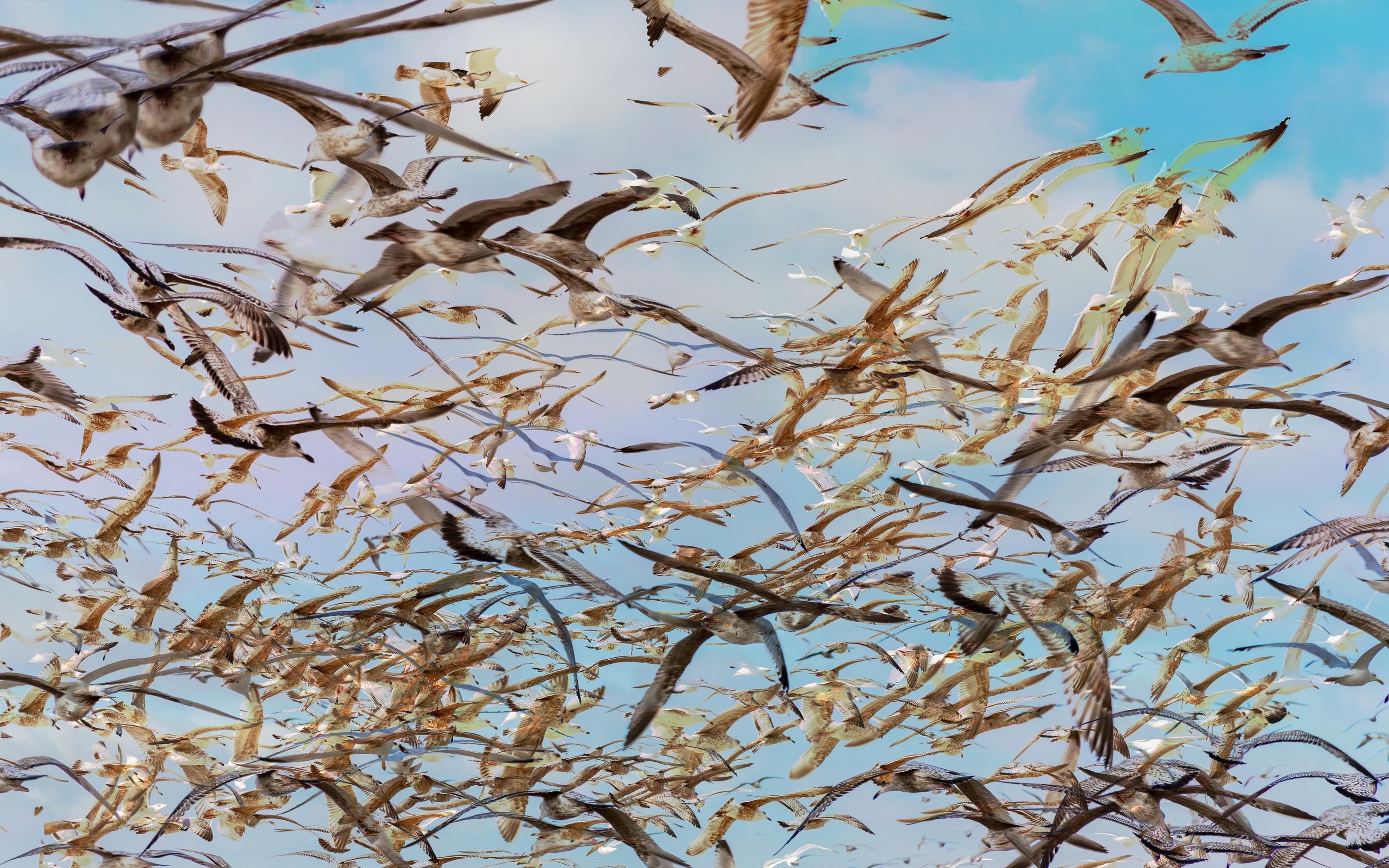Big Summer Energy by Jorne Scholiers — image 7
