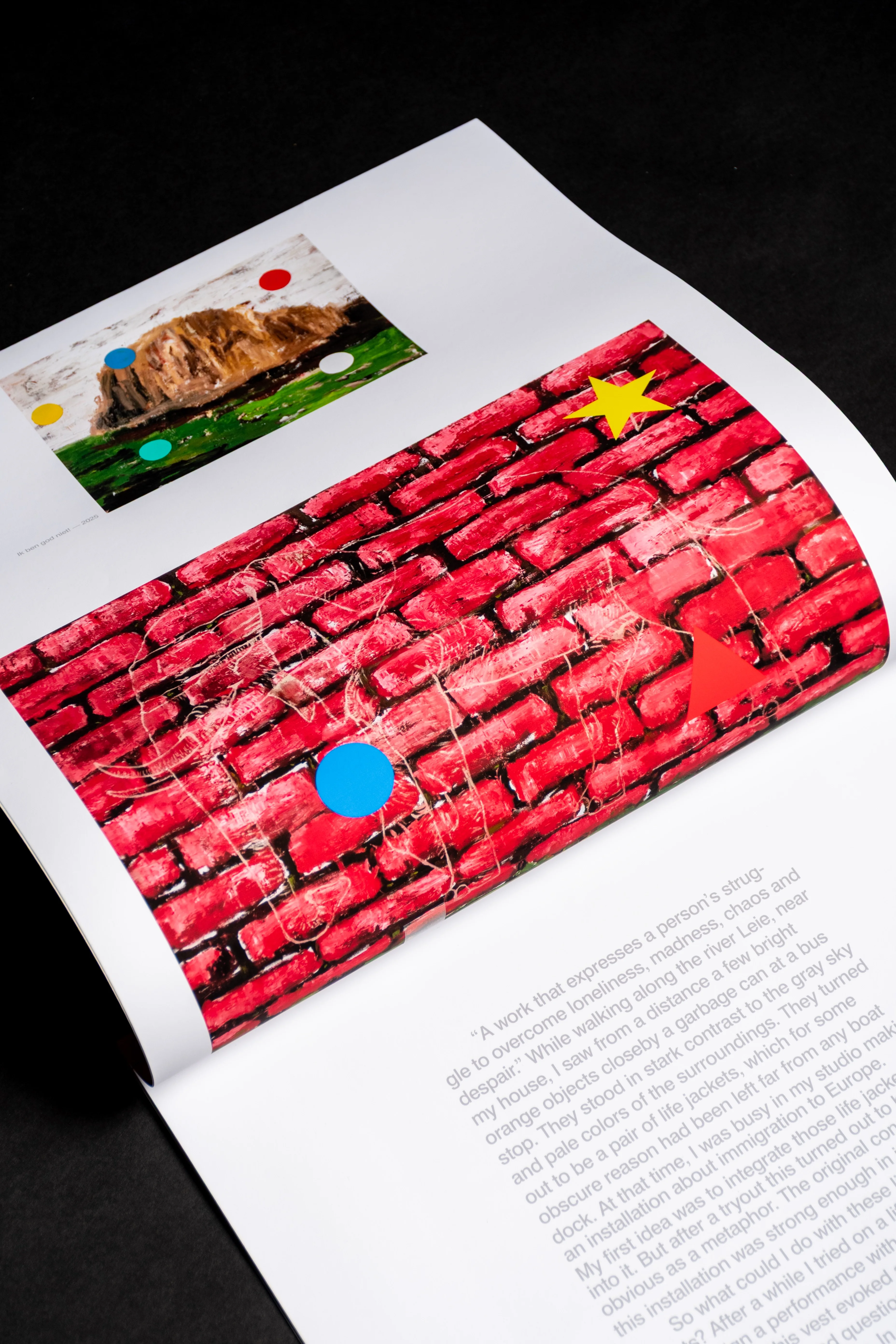 Brilliant Books, a visual design project by Jorne Scholiers — image 5