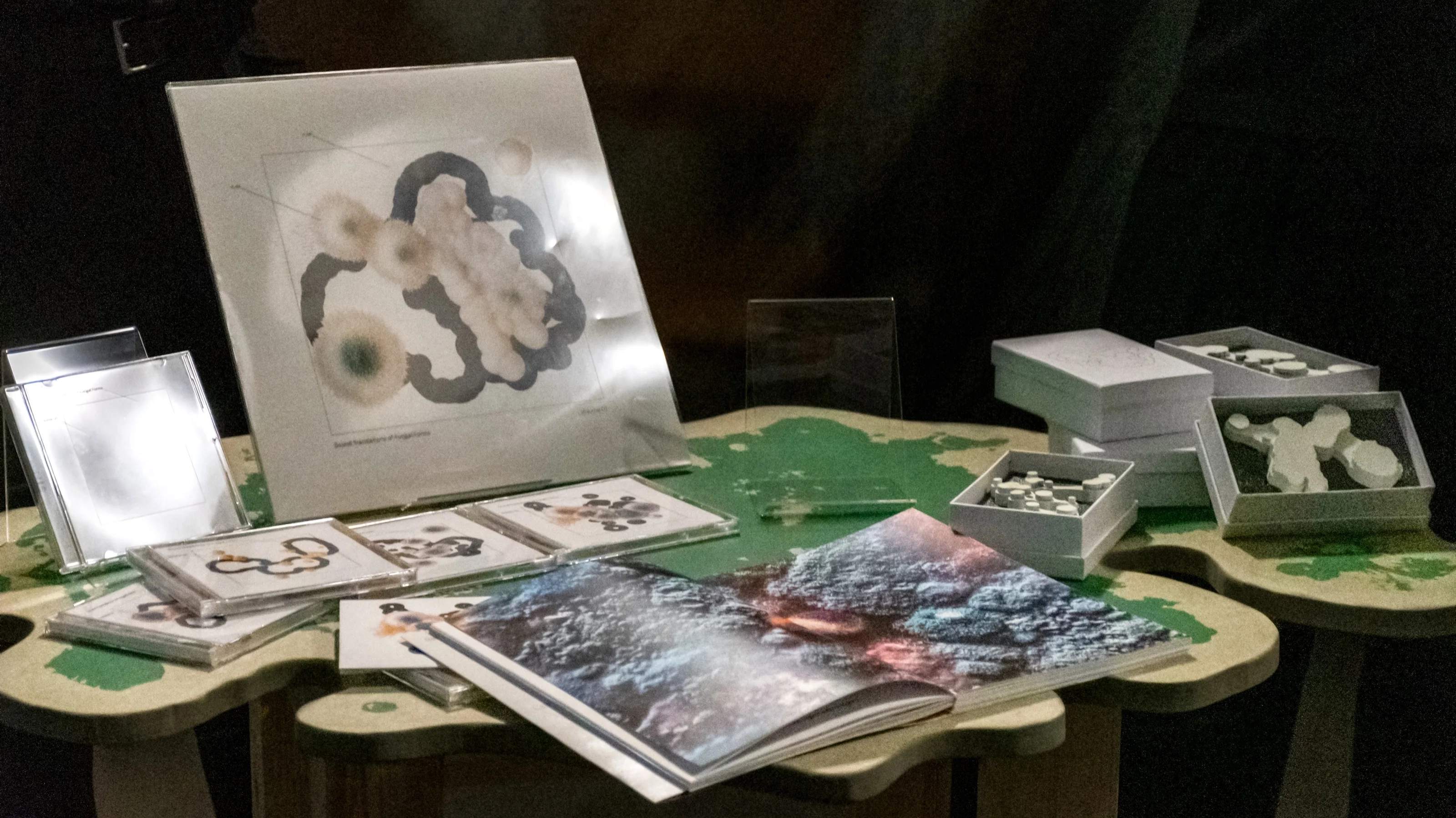 Sound Translations of Fungal Forms, image 4