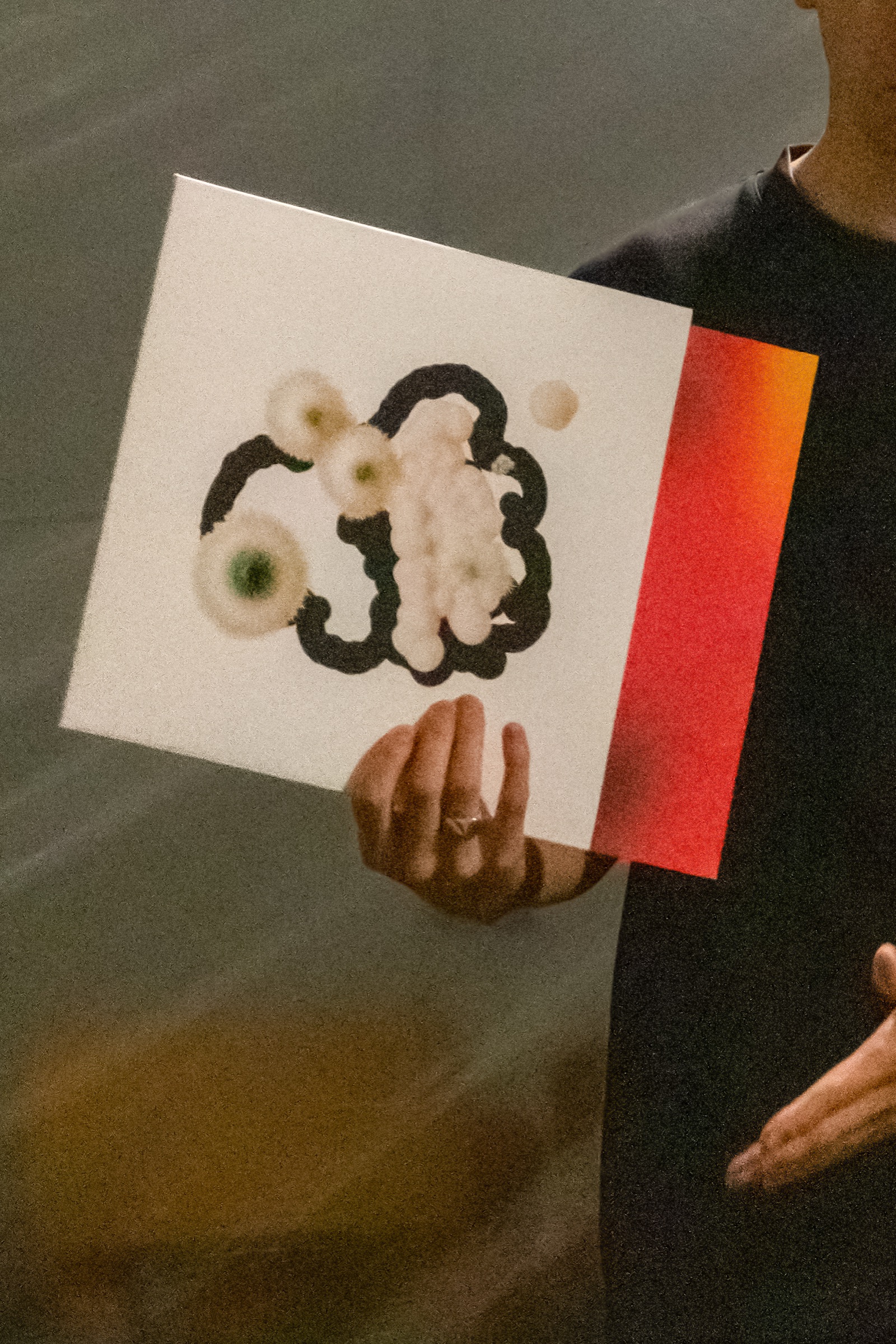 Sound Translations of Fungal Forms, creative coding by Jorne Scholiers — image 10