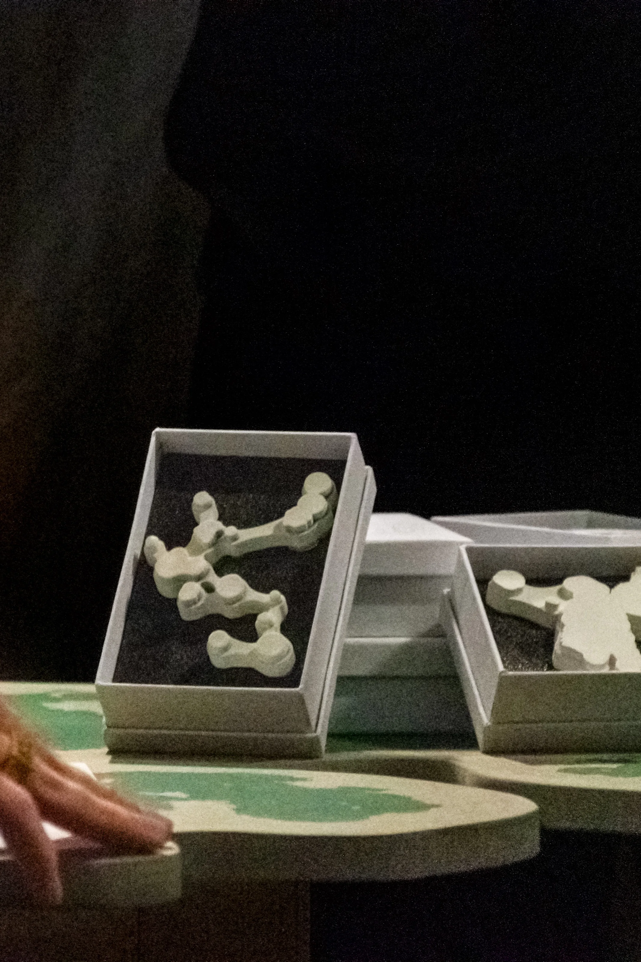 Sound Translations of Fungal Forms by Jorne Scholiers — image 8