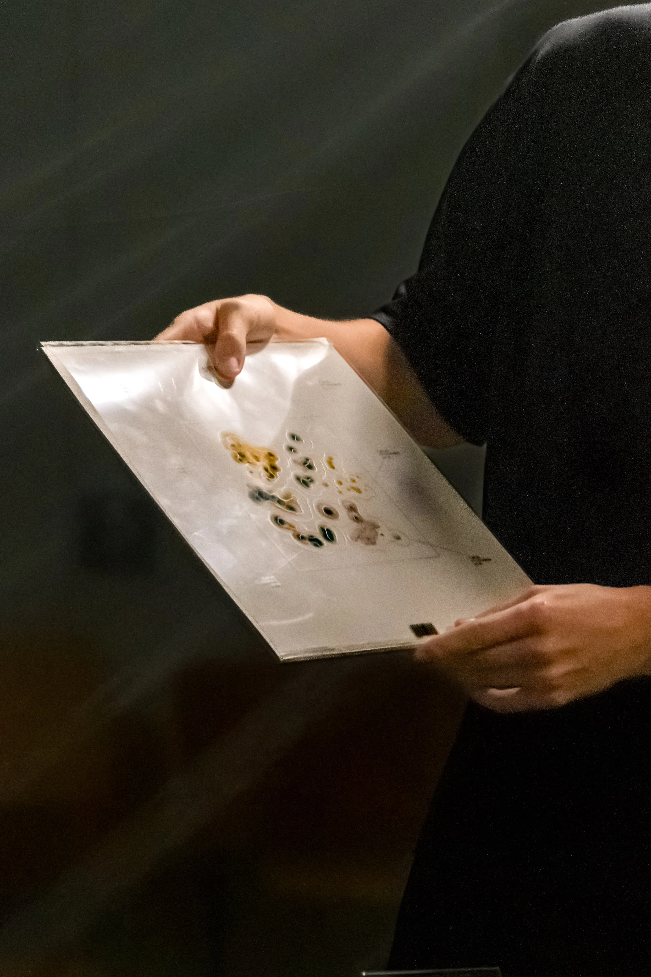 Sound Translations of Fungal Forms, a visual design project by Jorne Scholiers — image 2