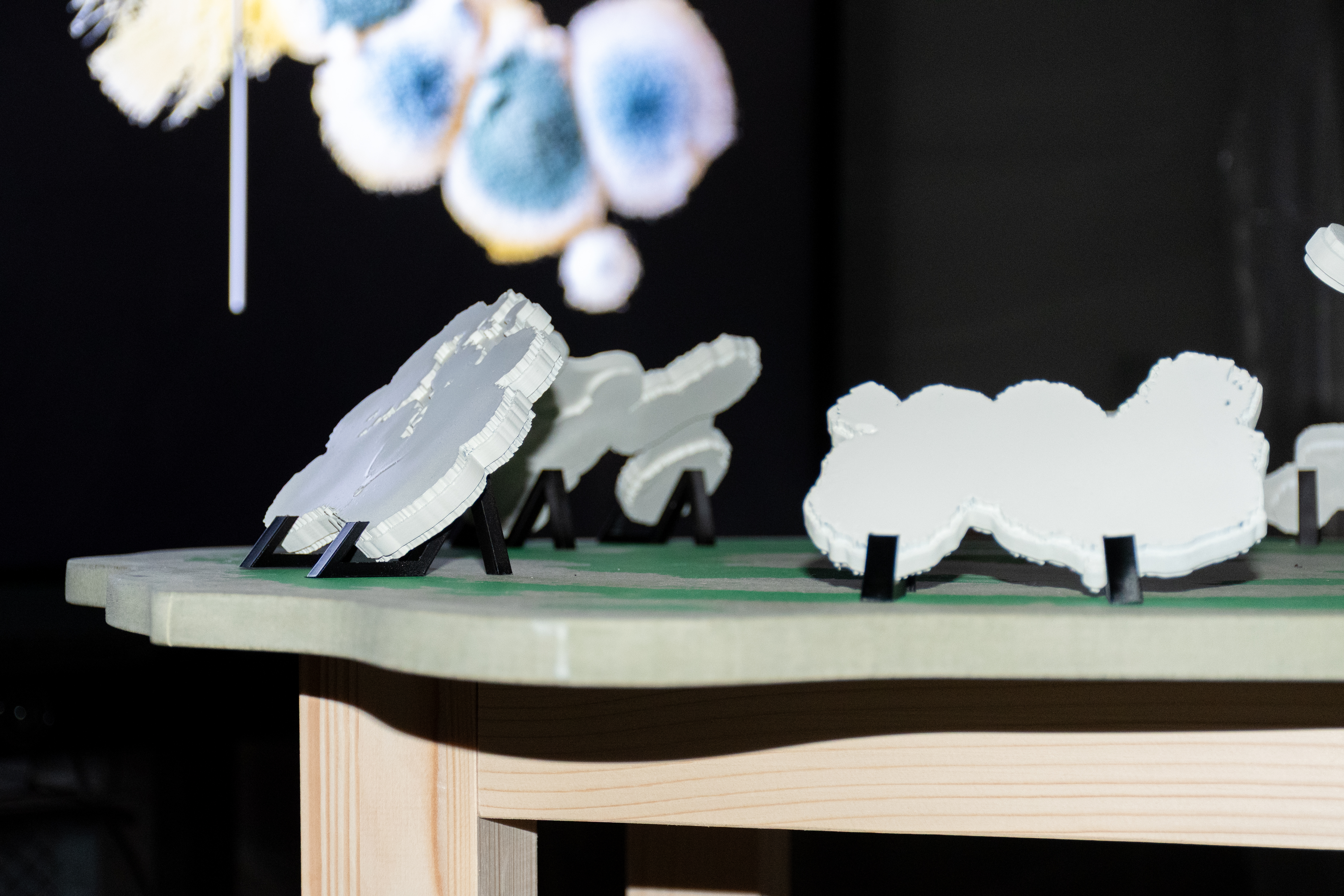 Sound Translations of Fungal Forms by Jorne Scholiers — image 6