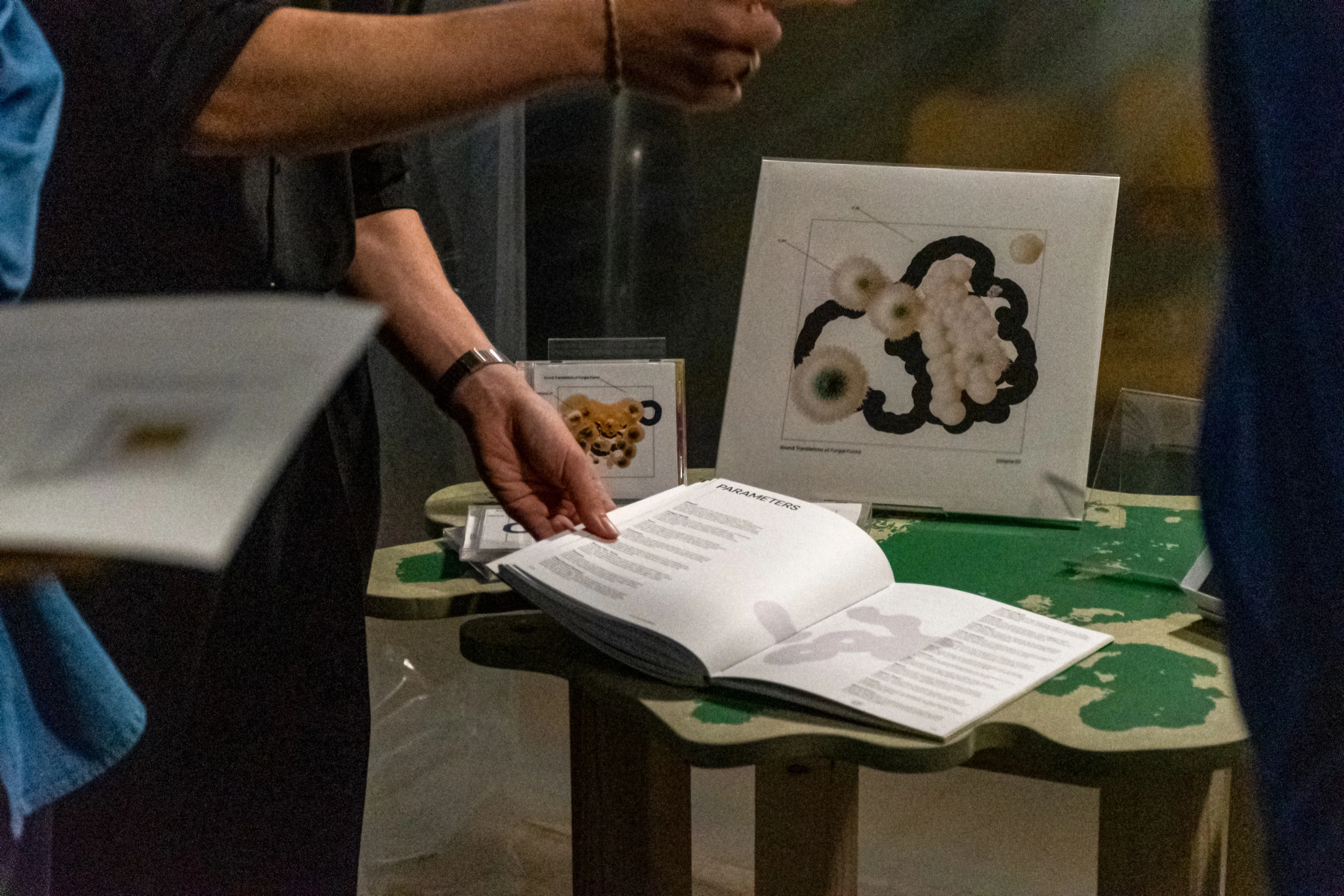 Sound Translations of Fungal Forms, a visual design project by Jorne Scholiers — image 5