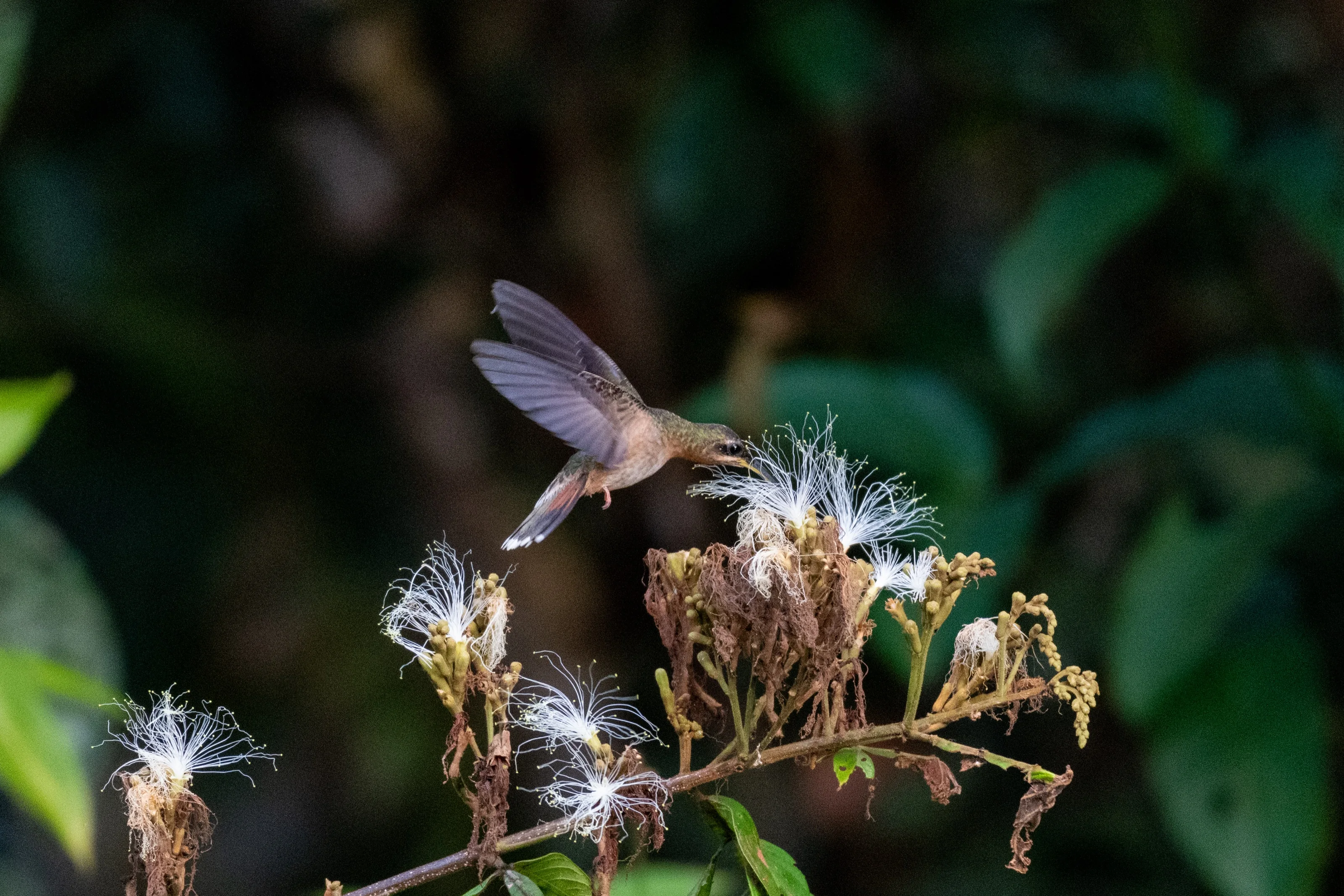Photo 2025 image 67